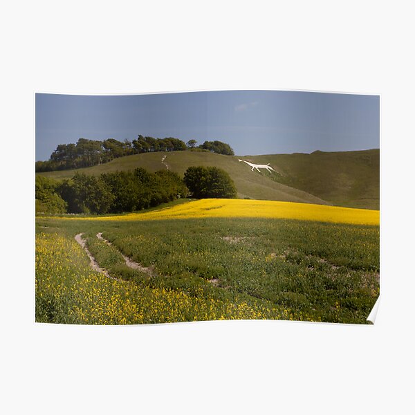 "Calne White Horse" Poster by karlt1965 Redbubble