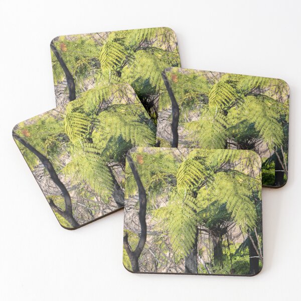 Item preview, Tree Ferns regrow after bush fires designed and sold by Martin Berry Photography.