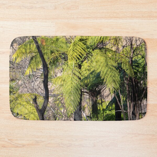 Item preview, Tree Ferns regrow after bush fires designed and sold by Martin Berry Photography.