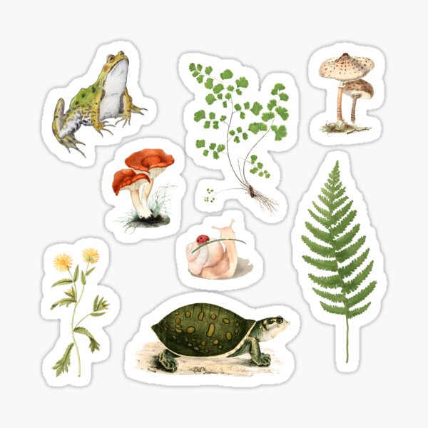 Cottagecore Pond Sticker