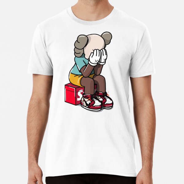 kaws camisetas
