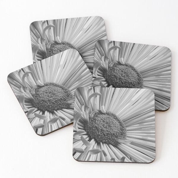 Item preview, Black and White Flower designed and sold by Parker Shoaf.