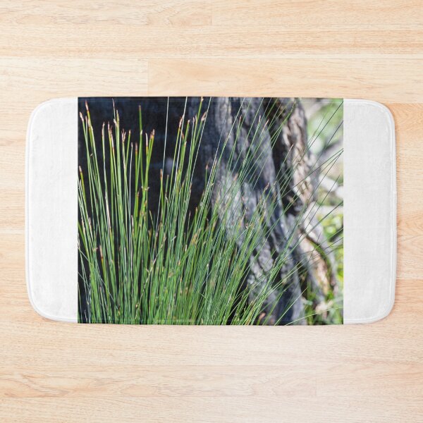 Item preview, Plant growth bush fire zone designed and sold by Martin Berry Photography.