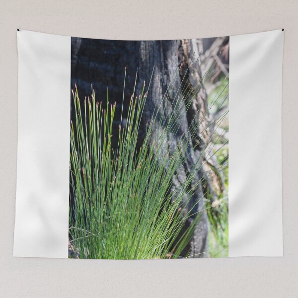 Item preview, Plant growth bush fire zone designed and sold by Martin Berry Photography.