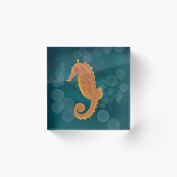 Cute Orange Seahorse Acrylic Block
