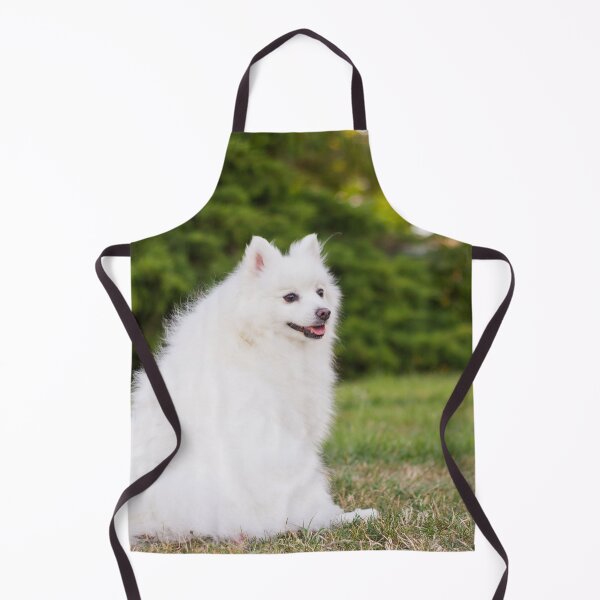 Item preview, Little Miss Spitz designed and sold by KarenWoodArt.
