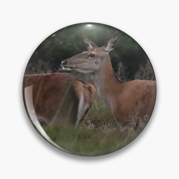 Item preview, pair of deers designed and sold by tammy mellor.