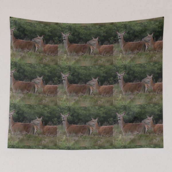 Item preview, pair of deers designed and sold by tammy mellor.