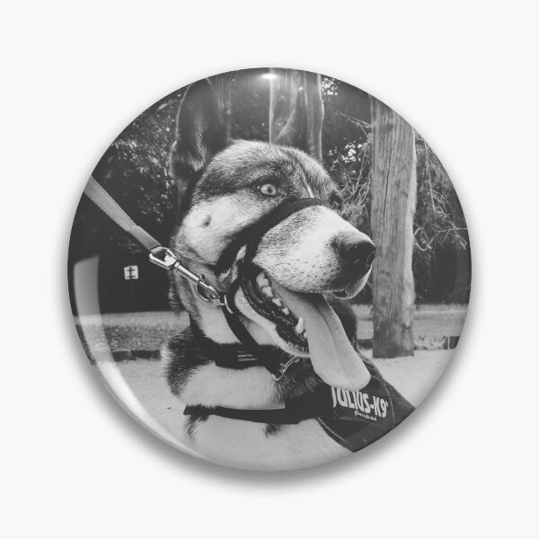 Item preview, Black and white dog in a black and white photograph designed and sold by Marcus Barcus.