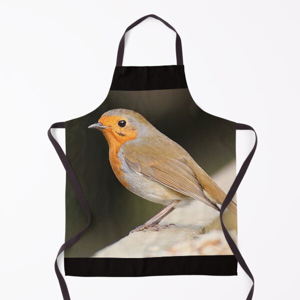 Item preview, lovely robin designed and sold by tammy mellor.