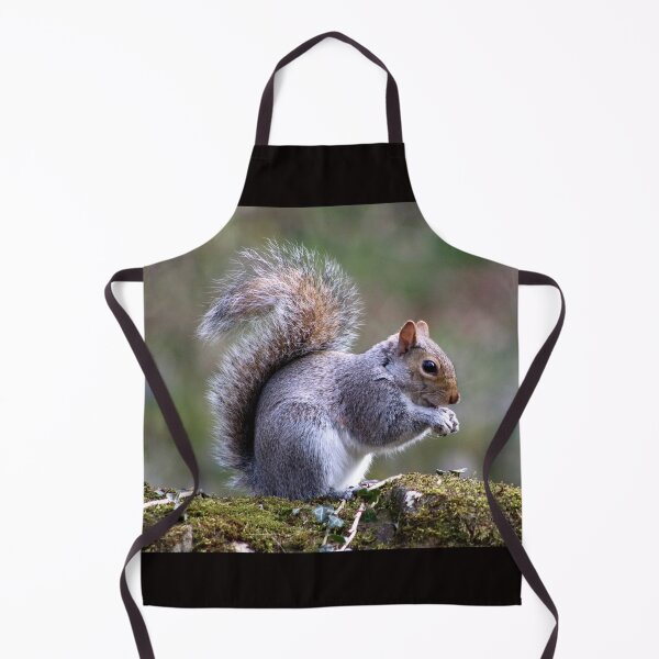 Item preview, nutty squirrel designed and sold by tammy mellor.