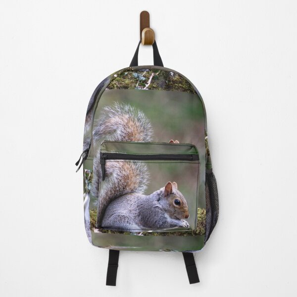 Item preview, nutty squirrel designed and sold by tammy mellor.