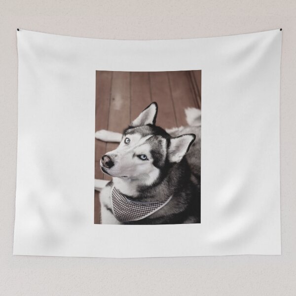 Item preview, Party t   shirt “ dog” ,   redbubble .com   designed and sold by Bhaskaran Parakkottil.