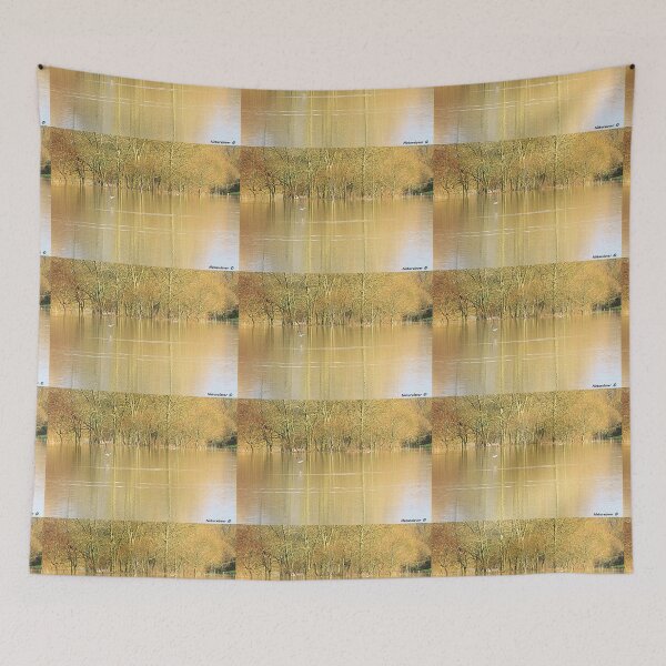 Item preview, Winter Sun on Flooded Fields designed and sold by naturelover.