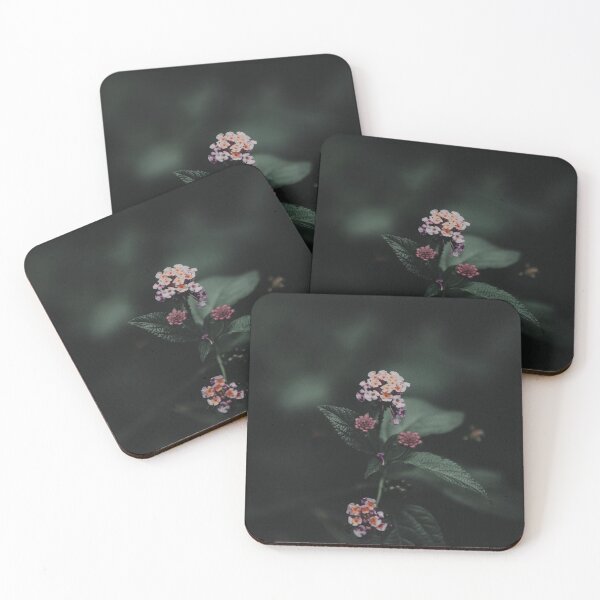 Artikelvorschau, Low Light Flower entworfen und verkauft von LousyLoofah.