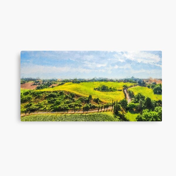 Italy, Chianti, Castellina in Chianti, Fonterutoli Wall Art, Canvas Prints,  Framed Prints, Wall Peels