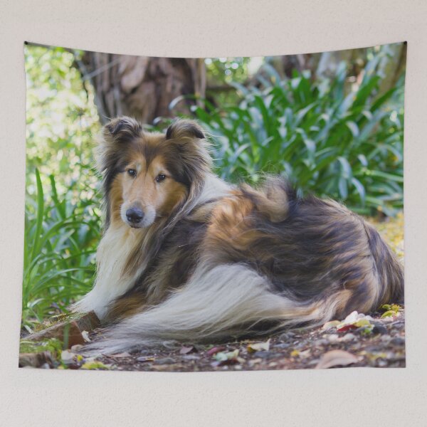 Item preview, Sweet Collie designed and sold by KarenWoodArt.