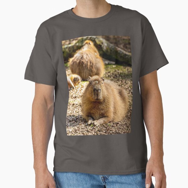 Item preview, Capybara taking the Sun designed and sold by OwlOccasions.