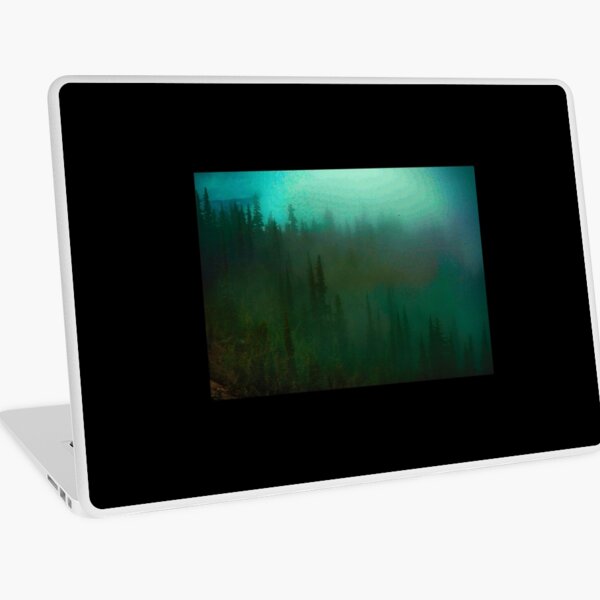 deep fog woods Laptop Skin