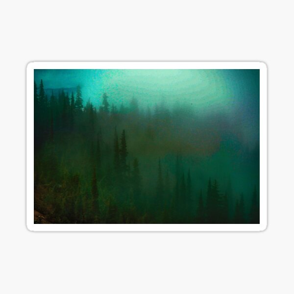 deep fog woods Sticker
