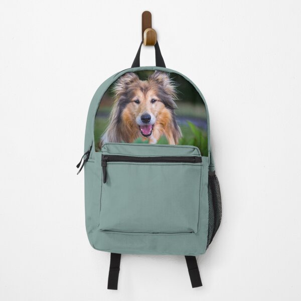 Item preview, Collie Surprise designed and sold by KarenWoodArt.