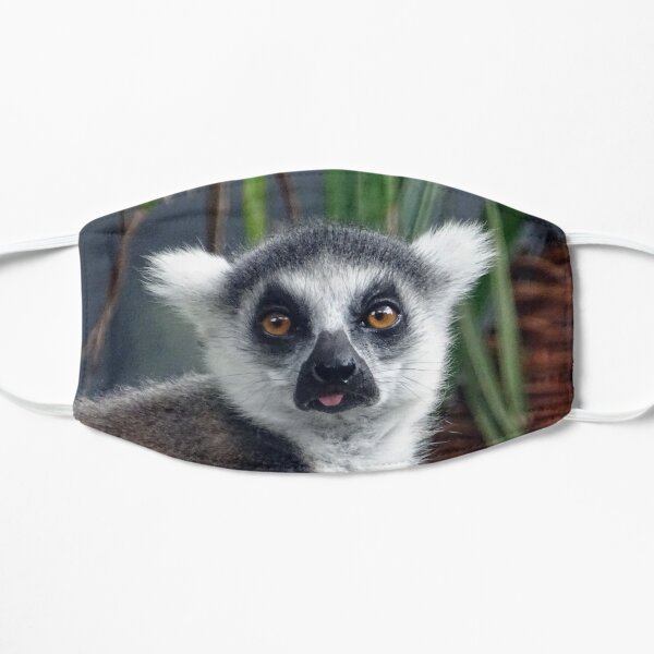 Ring Tailed Lemur Flat Mask