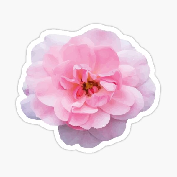 Rose Sticker