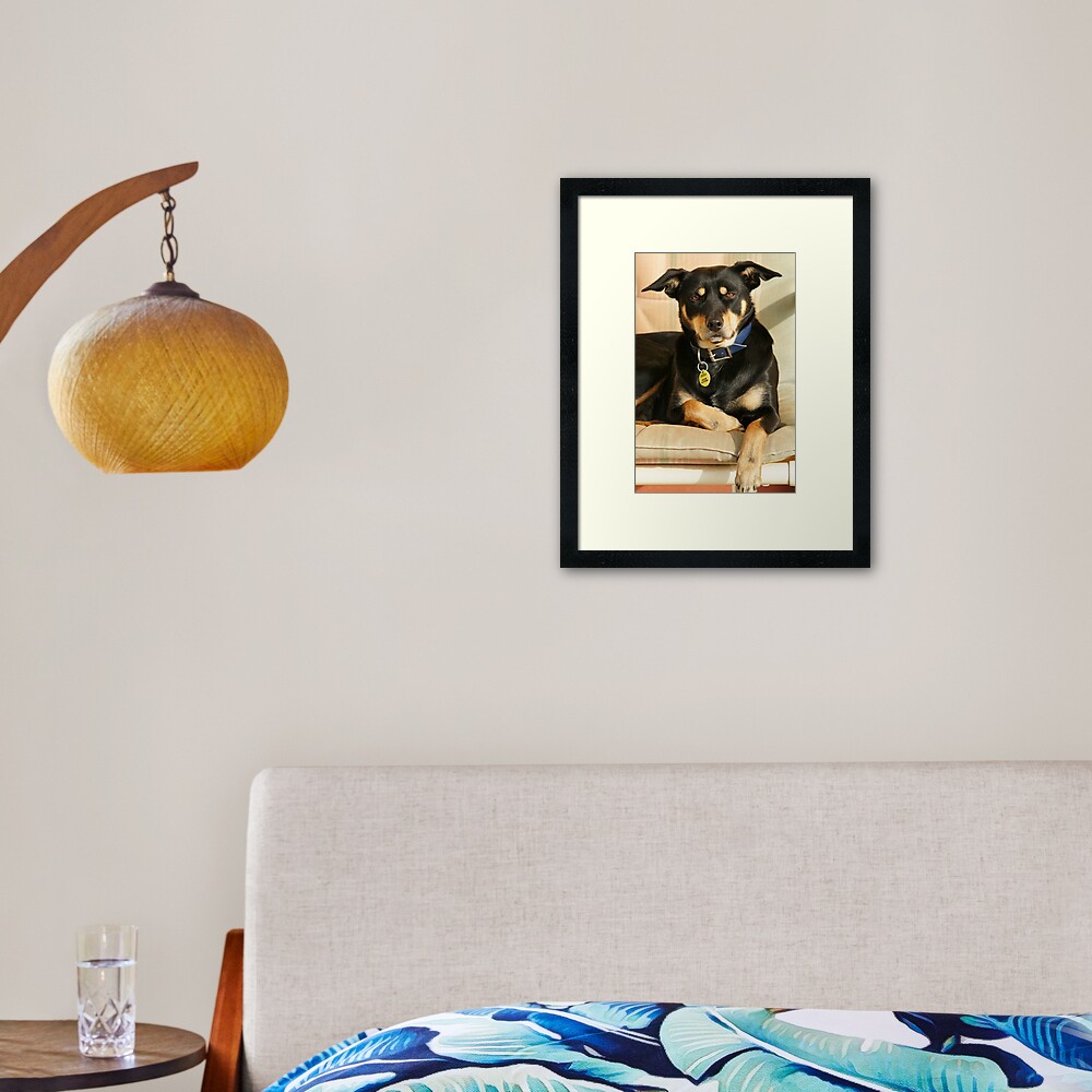 "Jesse" Framed Art Print