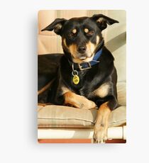 "Jesse" Canvas Print