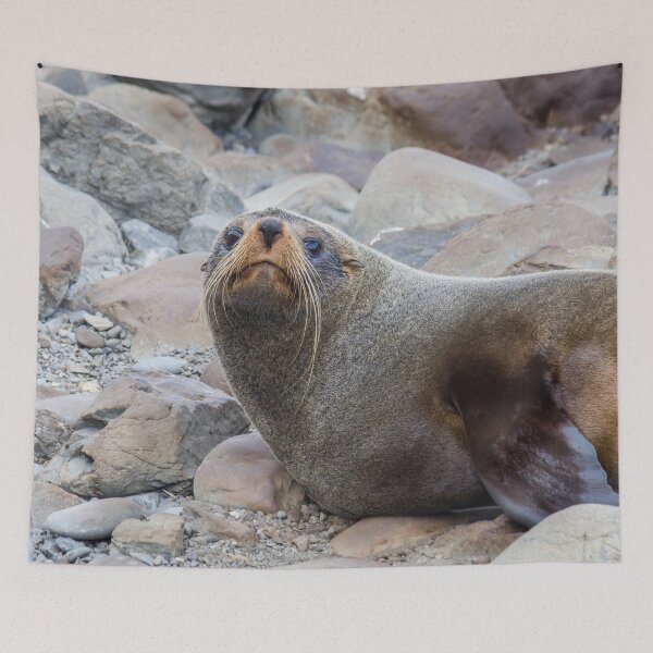 Item preview, Seal On The Rocks designed and sold by KarenWoodArt.