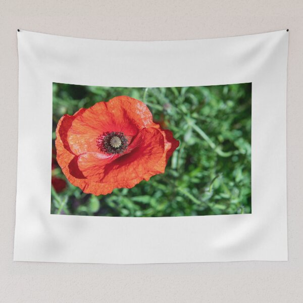 Item preview, Beautiful red poppy flower designed and sold by krisgreenwood.