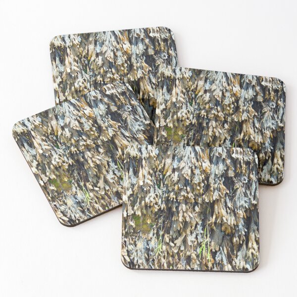Item preview, Seaweed Texture designed and sold by MarkUK97.