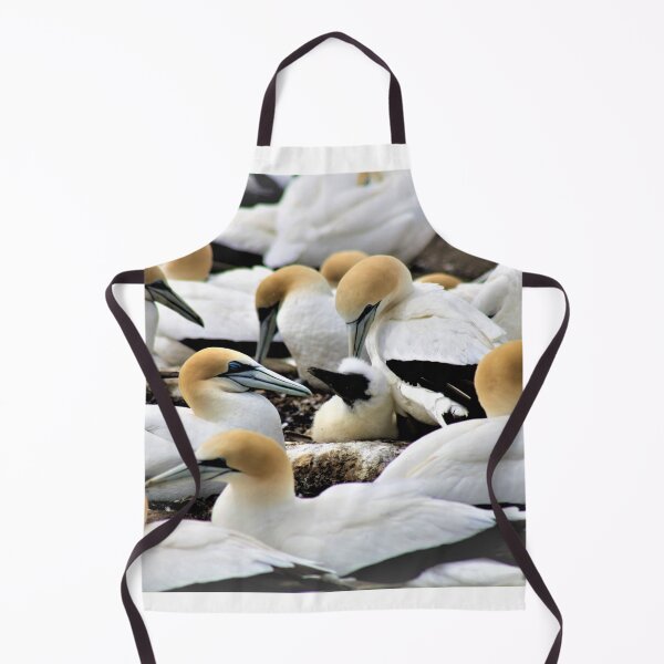Item preview, A colony of Gannets designed and sold by Andyt.