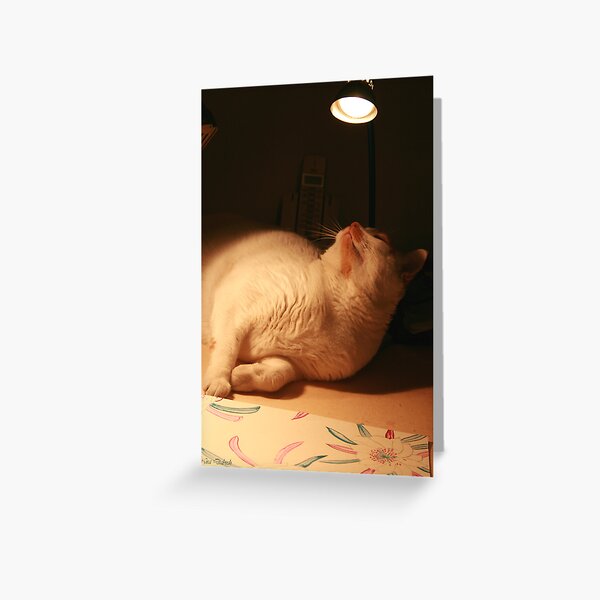 Warming Himself in the LIGHT of the Lamp Greeting Card