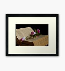 book and rose Framed Print