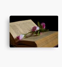 book and rose Canvas Print