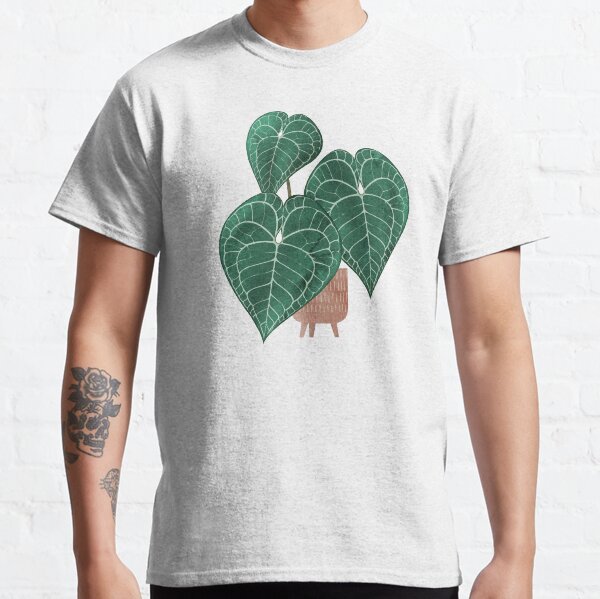 Anthurium clarinervium (potted) Classic T-Shirt