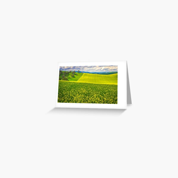 Canola Field Art Greeting Card