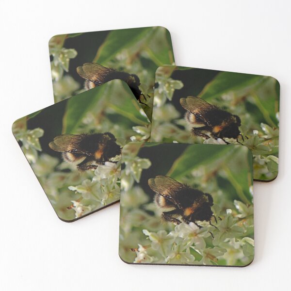 Item preview, Bumble Bee designed and sold by Avril Harris.