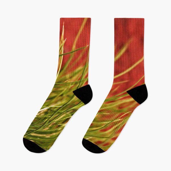 Item preview, Spinnifex Grass in Central Australia designed and sold by Ohlordi.