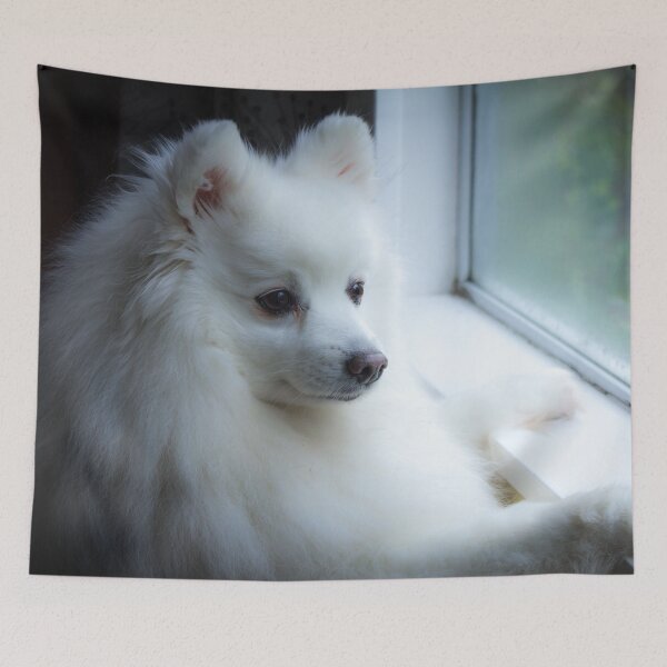 Item preview, Alert Japanese Spitz  designed and sold by KarenWoodArt.