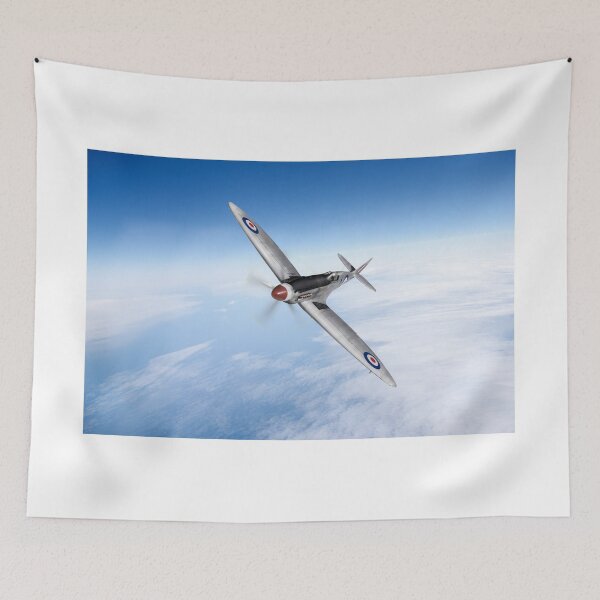 Item preview, Silver Spitfire PRMk XIX PS852  designed and sold by Flight Artworks.