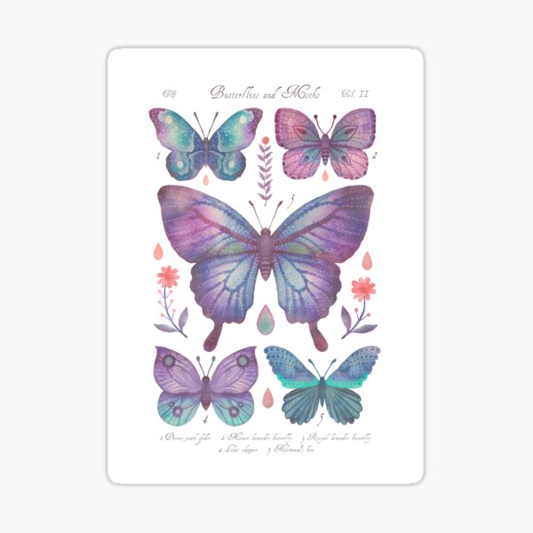 Item preview, Butterflies and Moths Tab.II designed and sold by Cabinet Of Curiosities by Vlad.