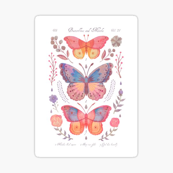 Item preview, Butterflies and Moths Tab.IV designed and sold by Cabinet Of Curiosities by Vlad.