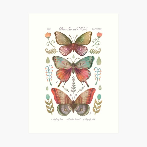 Butterflies and Moths Tab.VIII Art Print