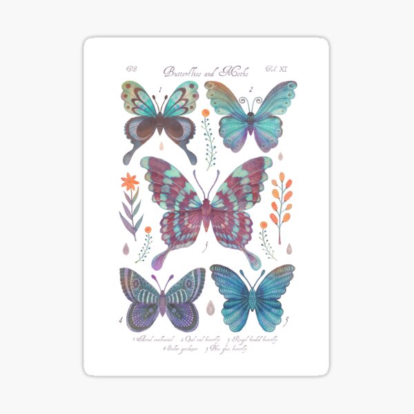 Item preview, Butterflies and Moths Tab.XI designed and sold by Cabinet Of Curiosities by Vlad.