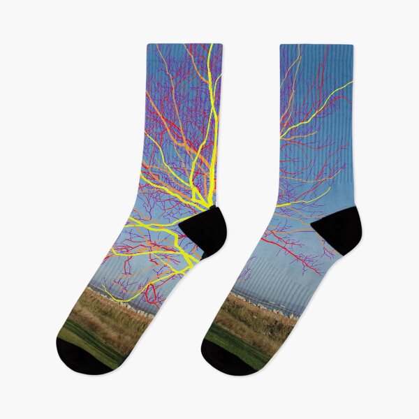 Item preview, OneTree 02, photography, art print. designed and sold by JulianFJones.