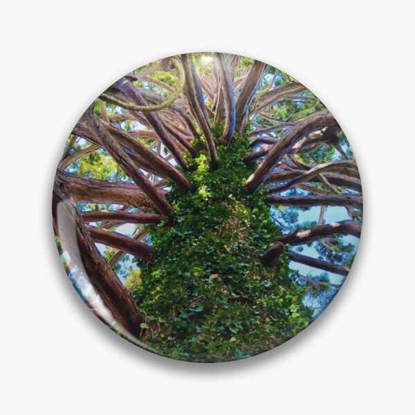 Item preview, Redwood designed and sold by MazGhani.