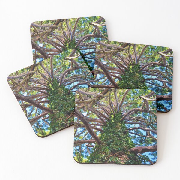 Item preview, Redwood designed and sold by MazGhani.