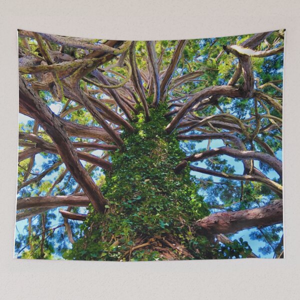 Item preview, Redwood designed and sold by MazGhani.